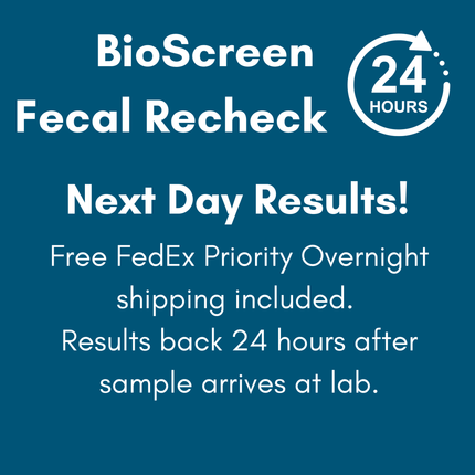 Basic Fecal Parasite Screen Mail in Lab Test for Cats & Dogs (Ova & Parasite)