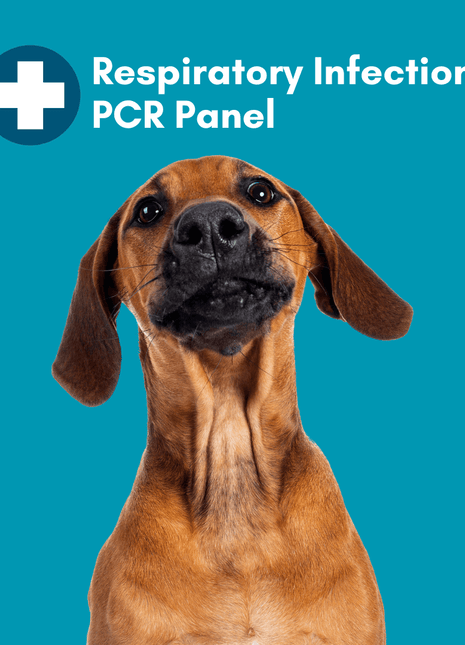 Respiratory Infection Check Mail-In Test for Dogs (PCR): At-Home Testing