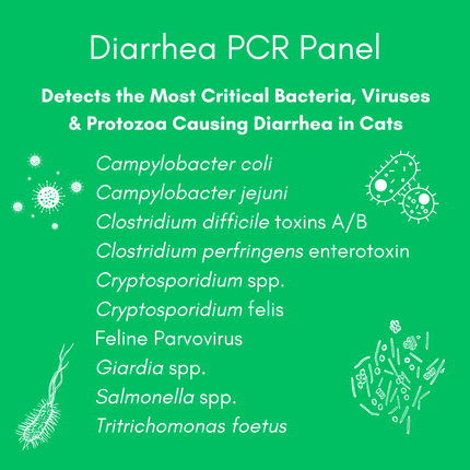 Diarrhea Check Mail-In Test for Cats (PCR): At-Home Testing