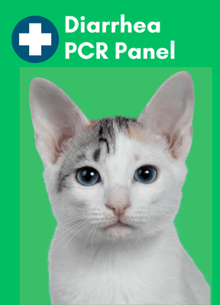 Diarrhea Check Mail-In Test for Cats (PCR): At-Home Testing