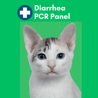 Diarrhea Check Mail-In Test for Cats (PCR): At-Home Testing