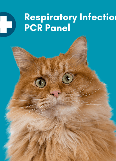 Respiratory Infection Check Mail-In Test for Cats (PCR)