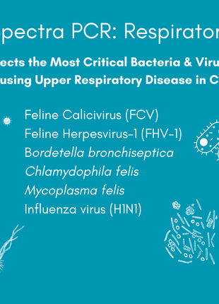 Respiratory Infection Check Mail-In Test for Cats (PCR)