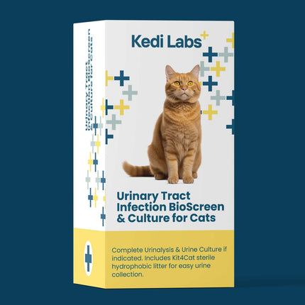 Urinary Tract Infection BioScreen & Culture for Cats: At-Home Testing