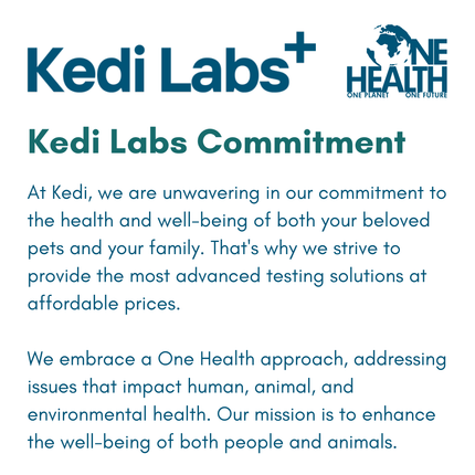 Urinary Tract Infection BioScreen & Culture for Dogs: At-Home Testing