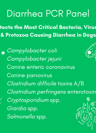 Diarrhea Check Mail-In Test for Dogs (PCR): At-Home Testing