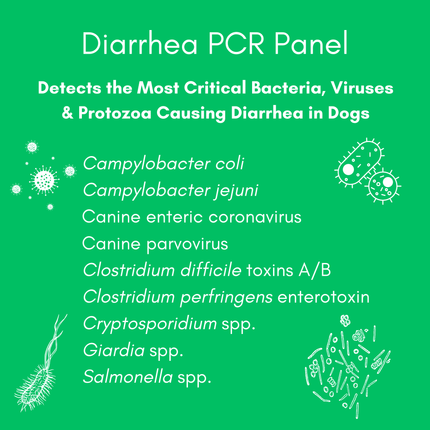 Diarrhea Check Mail-In Test for Dogs (PCR): At-Home Testing