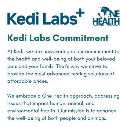 Diarrhea Check Mail-In Test for Dogs (PCR): At-Home Testing