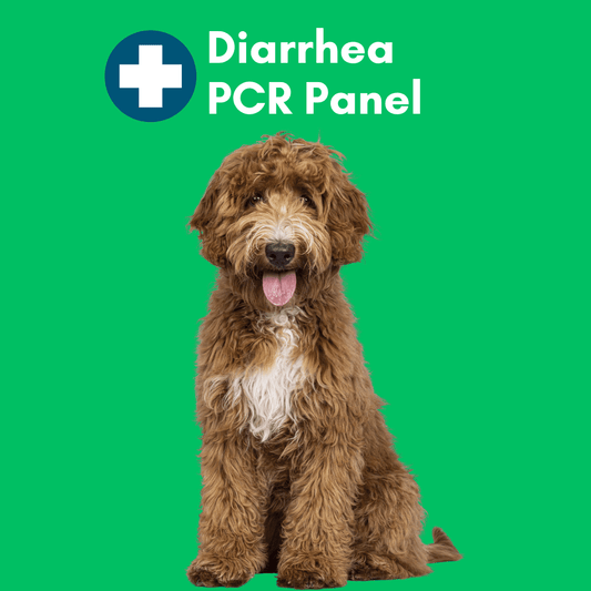 Diarrhea Check Mail-In Test for Dogs (PCR): At-Home Testing