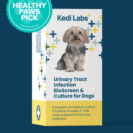 Urinary Tract Infection BioScreen & Culture for Dogs: At-Home Testing