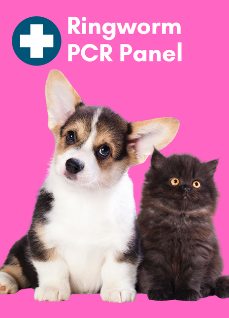 Ringworm PCR Test for Pets: At-Home Testing