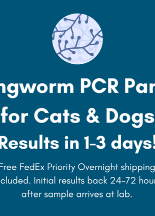 Ringworm PCR Test for Pets: At-Home Testing