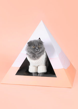 'Wavey' Cardboard Cat Pyramid