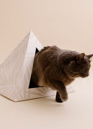 'Neutral Palm' Cardboard Cat Pyramid