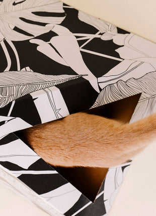 'Dark Paradise' Cardboard Cat Pyramid