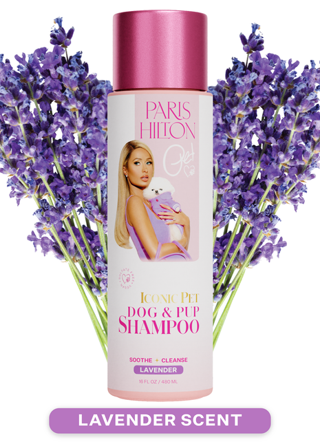 Dog & Pup Shampoo Lavender 480ml