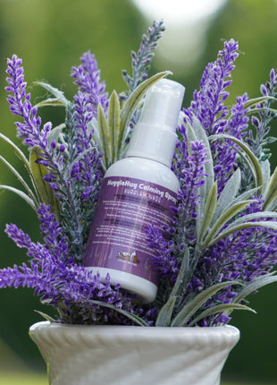 HuggleHug™ Lavender Bone & 2oz Calming Spray Dog Toy Set - Pup List