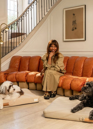 Brigette Romanek | Taupe Dog Bed or Bed Cover - Pup List