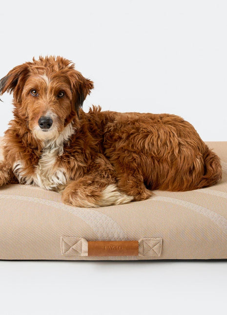 Brigette Romanek | Taupe Dog Bed or Bed Cover