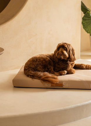 Brigette Romanek | Taupe Dog Bed or Bed Cover - Pup List