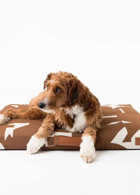 John Legend | Brown Fragment Dog Bed or Bed Cover