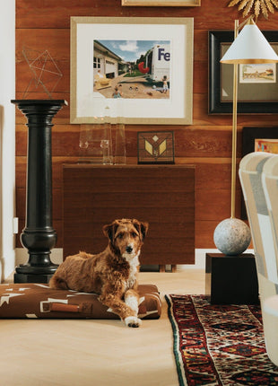 John Legend | Brown Fragment Dog Bed or Bed Cover