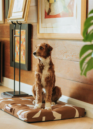 John Legend | Brown Fragment Dog Bed or Bed Cover