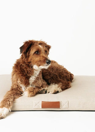 Ecru | Modern Dog Bed or Bed Cover - Pup List