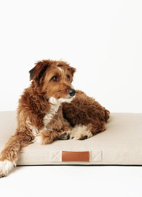 Ecru | Modern Dog Bed or Bed Cover - Pup List