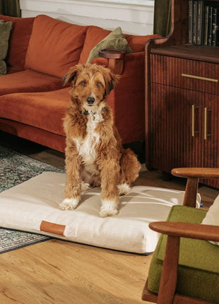 Ecru | Modern Dog Bed or Bed Cover - Pup List