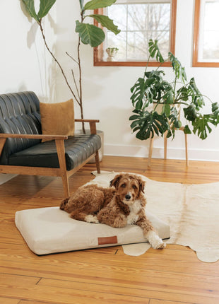 Ecru | Modern Dog Bed or Bed Cover - Pup List