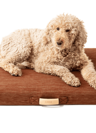 Terra | Modern Dog Bed or Bed Cover - Pup List