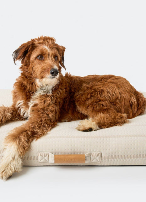 Brigette Romanek | Cream Dog Bed or Bed Cover