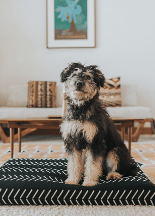 Black Chevron | Boho Dog Bed or Bed Cover