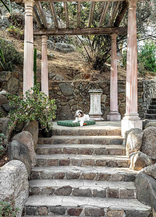 Hunter Green Grid | Dog Bed or Bed Cover