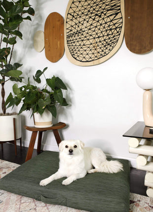 Sage | Modern Dog Bed or Bed Cover - Pup List
