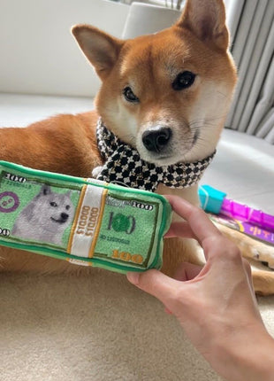 CASH IS KING PLUSH DOG TOY