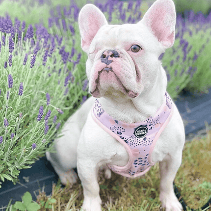 Spotted in the City Adjustable Harness