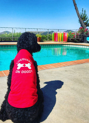 Parisian Pet 'Lifeguard on Doody' Dog & Cat T-Shirt – Funny Cotton Shirt, Stylish & Comfortable Pet Apparel – Red