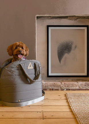 Nooee Pet Car Seat Lola