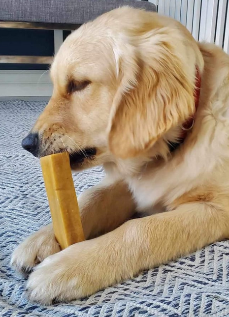 Himalayan Yak Chew (LARGE)