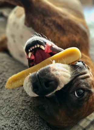 Himalayan Yak Chew (LARGE)