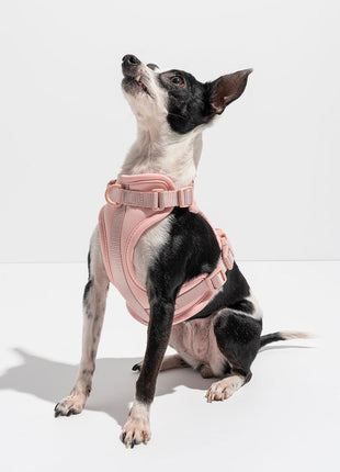 Luxe Harness - Hibiscus - Pup List