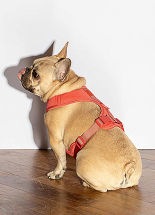 Luxe Harness - Pup List