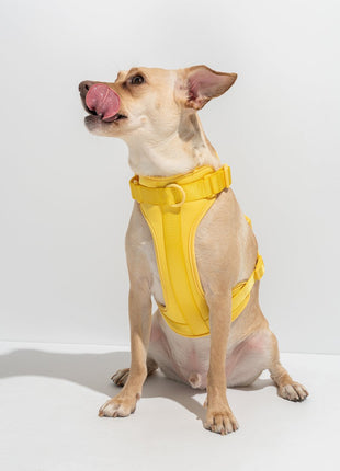 Luxe Harness - Soleil - Pup List