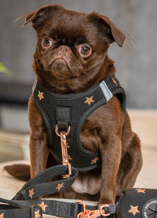 SoHo Dog Harness - Rockstar