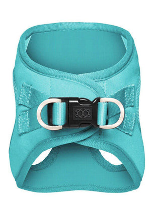 SoHo Dog Walking Set - Fifth Avenue Blue