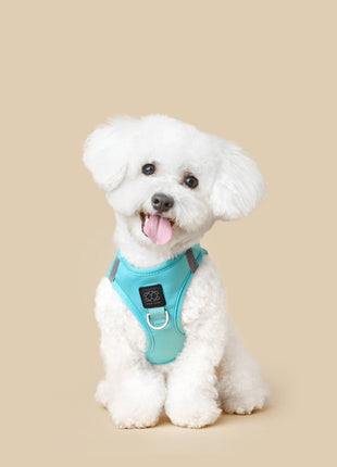 SoHo Dog Walking Set - Fifth Avenue Blue