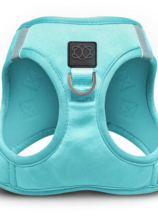 SoHo Dog Walking Set - Fifth Avenue Blue