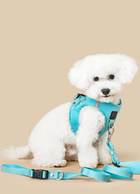 SoHo Dog Walking Set - Fifth Avenue Blue